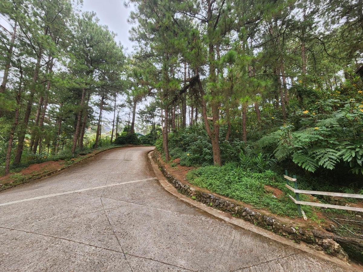 Baguio Hillside Haven Lejlighed Baguio City Eksteriør billede